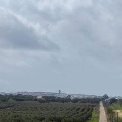 Rückblick auf Beja