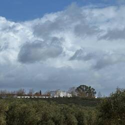 Rückblick auf Beja