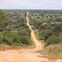 Die Straße wird zur Sandpiste...
