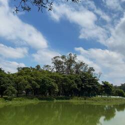 Parque do Ibirapuera