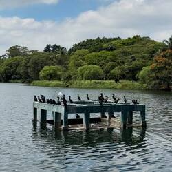 Parque do Ibirapuera