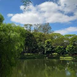 Parque do Ibirapuera