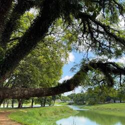 Parque do Ibirapuera