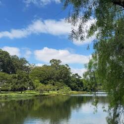 Parque do Ibirapuera