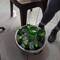 Bier bestellt man in der Einheit Bucket.