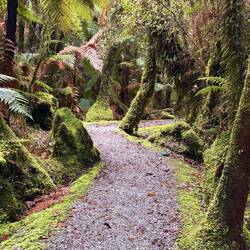 Love walking in the bush