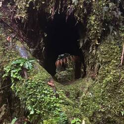 Trying to be artistic