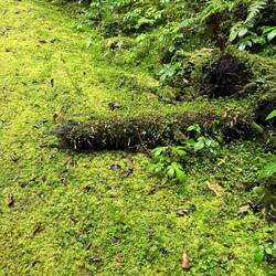 Love the colours in the bush