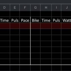 So sieht meine Excel Tabelle aus zum nachhalten jeder Einheit