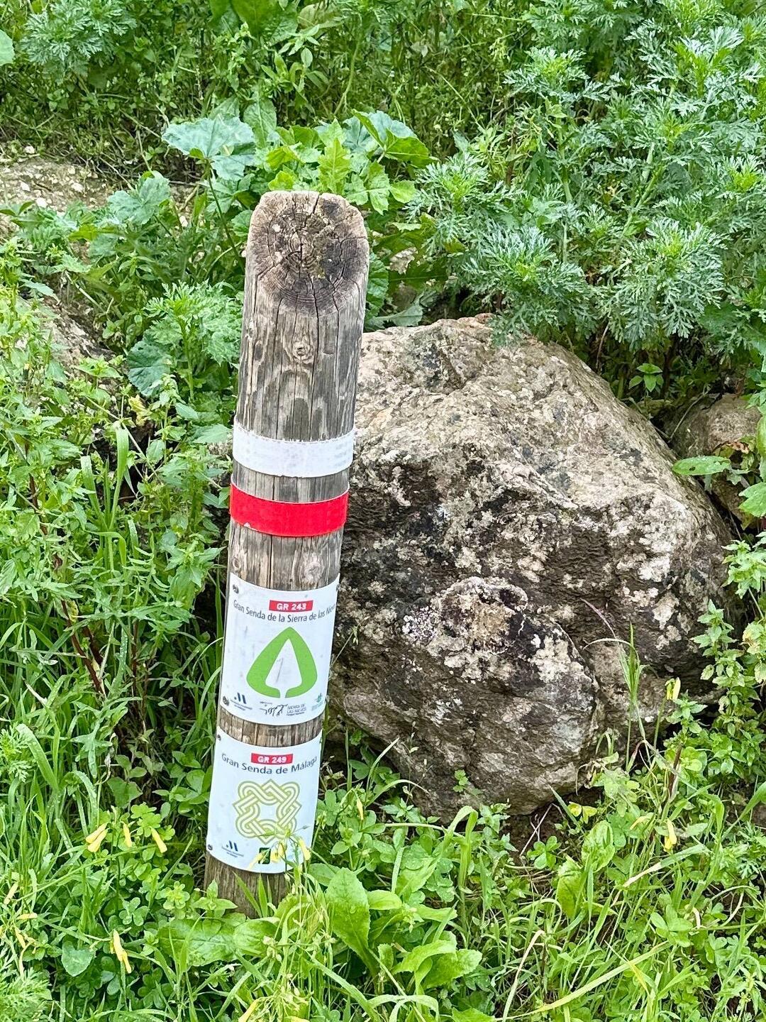 GR 243