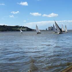 Sailboats on the Tagus River
