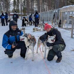 Huskyexperience