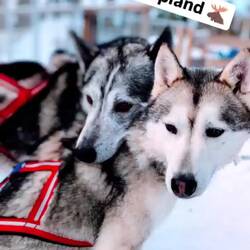 About Lapland