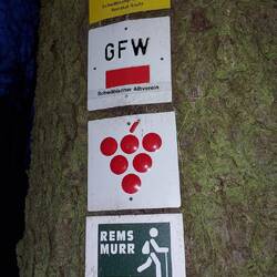 Vier Wege auf einmal 😁