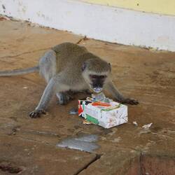 ...und leergetrunken...