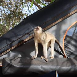 Es geht weiter auf die Markise...