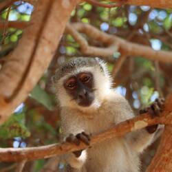 ...während von oben neues Unheil droht
