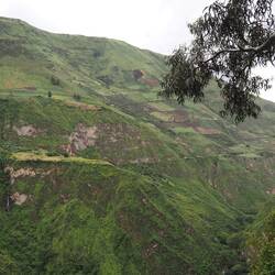 Landwirtschaft in Steillagen...