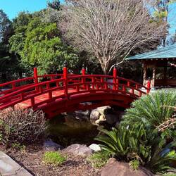 The bridge in Yomiji Botanical Gardens