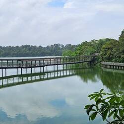 The zoo's surroundings were beautiful.