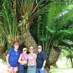 The Royal Botanic Garden