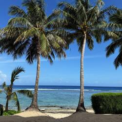 Beach with surf on outer reef