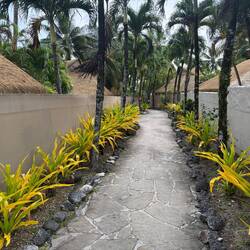 Our resort