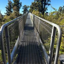 Tree Top Walkway
