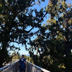 20m up on the Tree Top Walkway