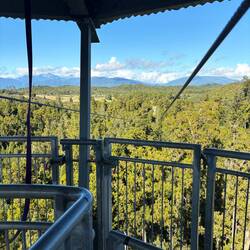 We passed on taking the zipline down