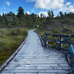 Wilderness Trail Board walk