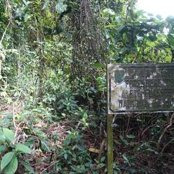 Nach mind. 2 h Kampf durch dichten Wald ohne Weg, finde ich dieses Schild - es gab wohl mal ein Weg