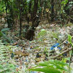 So ein Flaschenmeer in einem Nationalpark - traurig!