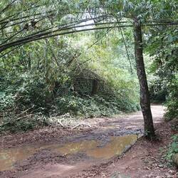 Auf geht's zur Wanderung - noch ist der Weg breit und ausgeschildert