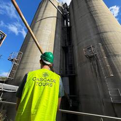 Chris could work here! He looks the part!