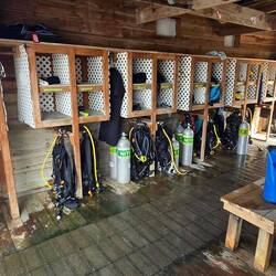 Dive Equipment storage bins