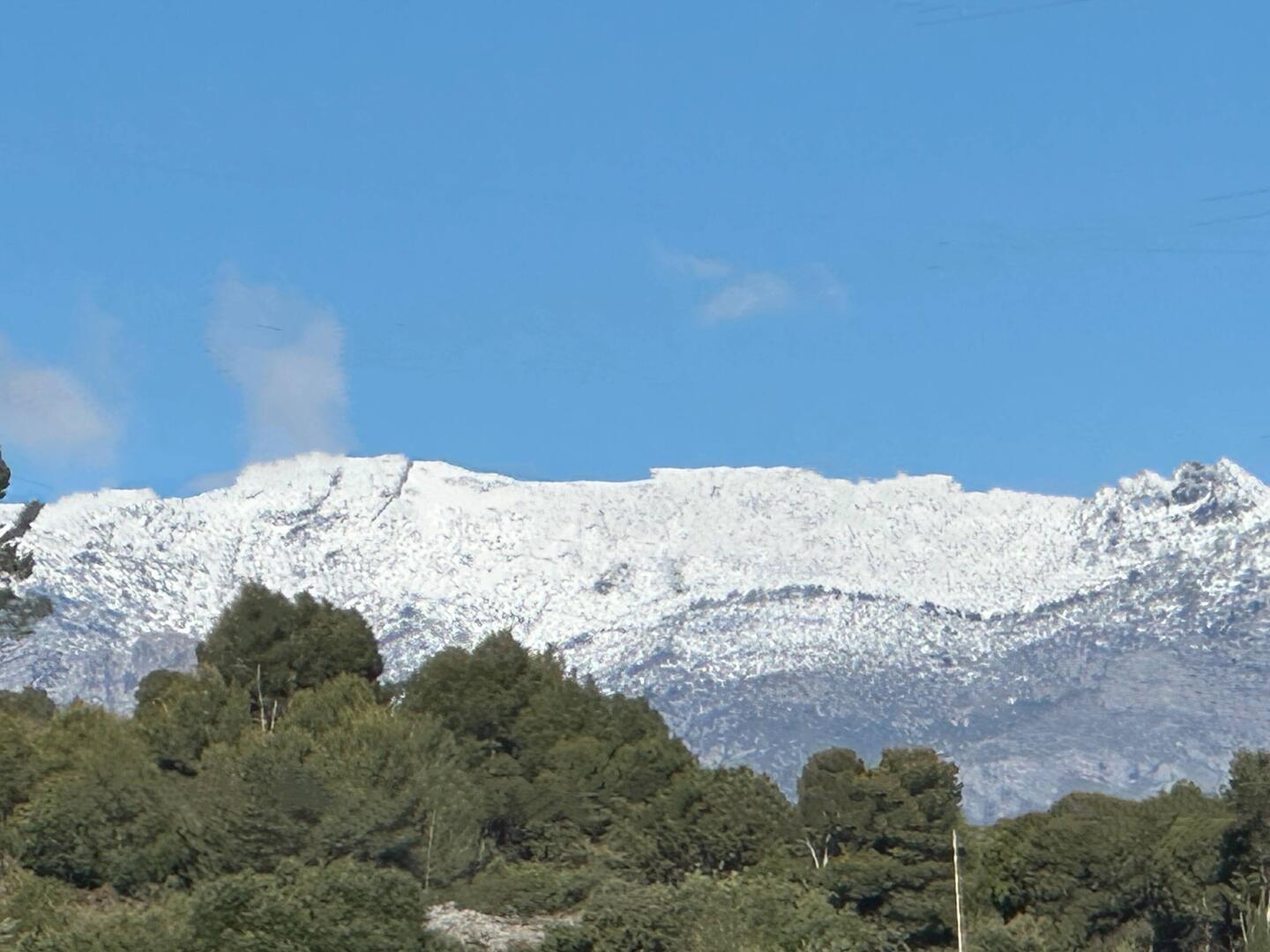 Torrecilla