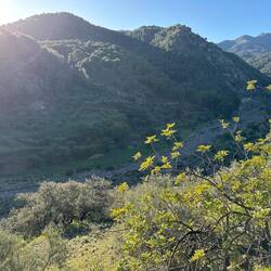 Cerro Gordo