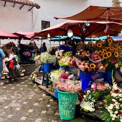 Le marché aux fleurs 🌸