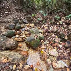 Wasser zum Abkühlen!!!