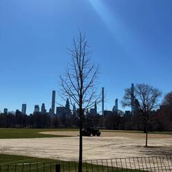 Beautiful walk through the park