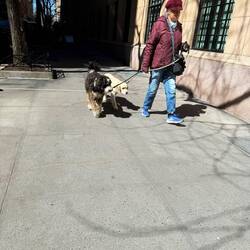 Leo like friend on UWS