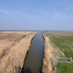 ...das hier ist schon eine optische Sensation...