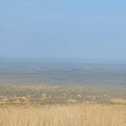 ...auch das Meer hat sich zurückgezogen...