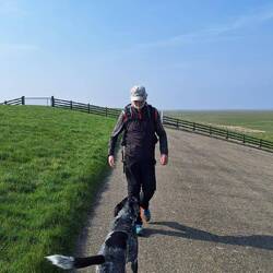 Auf dem Deich gibt's wenig Abwechslung....