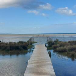 Marokko ist nur 15km rüber.