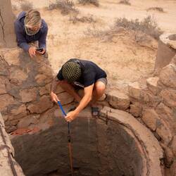 Ich hab da doch gerade ne Eule gesehen 🦉