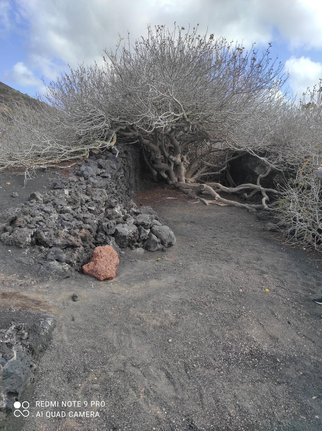 Au milieu des volcans