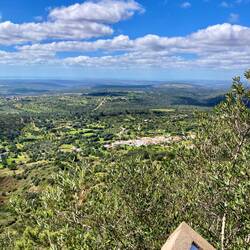 Freie Sicht nach Amerika 😊