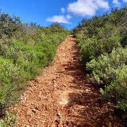 Der Weg geht übers Hochplateau weiter